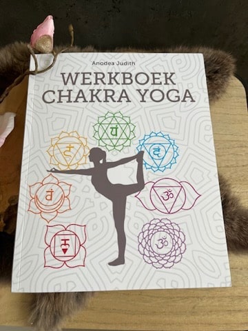 Werkboek chakra yoga